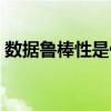 数据鲁棒性是什么意思（鲁棒性是什么意思）