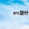 src是什么文件（srt是什么文件）