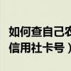 如何查自己农村信用社卡号（怎么查本人农村信用社卡号）