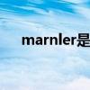 marnler是什么酒（martell是什么酒）