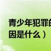 青少年犯罪的原因是什么?（青少年犯罪的原因是什么）