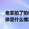 老家拍了拍你：是时候来口“家乡味”了 具体是什么情况?