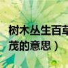 树木丛生百草丰茂意思扩句（树木丛生百草丰茂的意思）