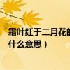 霜叶红于二月花的于的意思是什么（霜叶红于二月花的于是什么意思）