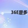 36E是多大实物图片（36e是多大）