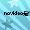 novideo是什么意思（video是什么意思）