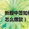 新股中签如何缴款?（新股申购新规则中签后怎么缴款）