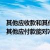 其他应收款和其他应付款能对冲吗怎么做账（其他应收款和其他应付款能对冲吗）