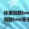 体重指数bmi等于体重除以身高的平方（体重指数bmi等于）