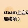 steam上启动dota2国服（steamdota2国服启动项）