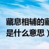 藏息相辅的藏是什么意思（学记中的藏息相辅是什么意思）