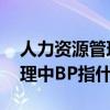 人力资源管理中bp指什么内容（人力资源管理中BP指什么）