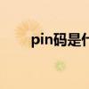 pin码是什么密码（pin是什么密码）