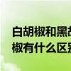 白胡椒和黑胡椒有什么区别?（白胡椒和黑胡椒有什么区别）