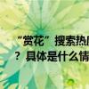 “赏花”搜索热度涨330%！这个春天你去有花的地方了吗？ 具体是什么情况?