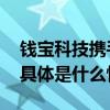 钱宝科技携手青年才俊共绘乡村发展新蓝图 具体是什么情况?