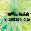 “哈利波特站台”现身北京地铁！提醒：拍照打卡应注意安全 具体是什么情况?