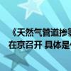 《天然气管道掺氢输送及终端利用可行性研究》成果发布会在京召开 具体是什么情况?