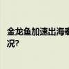 金龙鱼加速出海泰国曼谷召开海外经销商大会 具体是什么情况?