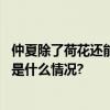 仲夏除了荷花还能赏什么？京城合欢花开赏花攻略来了 具体是什么情况?