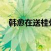 韩愈在送桂州严大夫同用南字描绘的意思