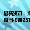 最新资讯：海南橡胶：台风“摩羯”致橡胶种植园报废23万亩