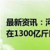 最新资讯：河南全年粮食总产量有望继续稳定在1300亿斤以上