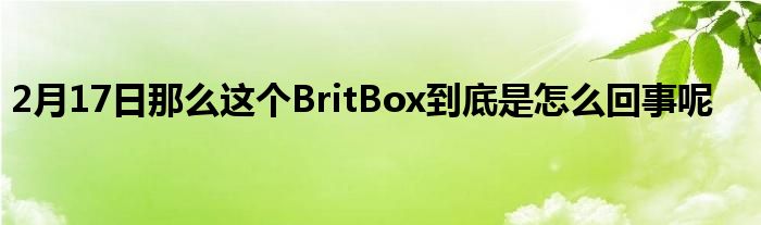 2月17日那么这个BritBox到底是怎么回事呢