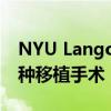 NYU Langone Health进行第二次成功的异种移植手术