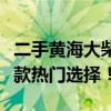 二手黄海大柴神性能详解：让你全方位了解这款热门选择！