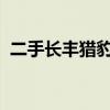 二手长丰猎豹黑金刚：越野传奇的再次启程