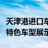 天津港进口车全解析：选购指南、市场动态与特色车型展示