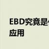 EBD究竟是何意思？——深度解析其含义与应用