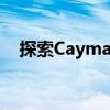 探索Cayman论坛：专业领域的交流高地