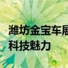 潍坊金宝车展：引领未来汽车风尚，一站尽享科技魅力