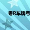 粤R车牌号码：归属地及详细信息解析