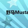 野马Mustang：速度与激情的不懈追求