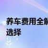 养车费用全解析：省钱秘籍、必备开销与明智选择