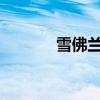 雪佛兰科沃兹车性能全面解析